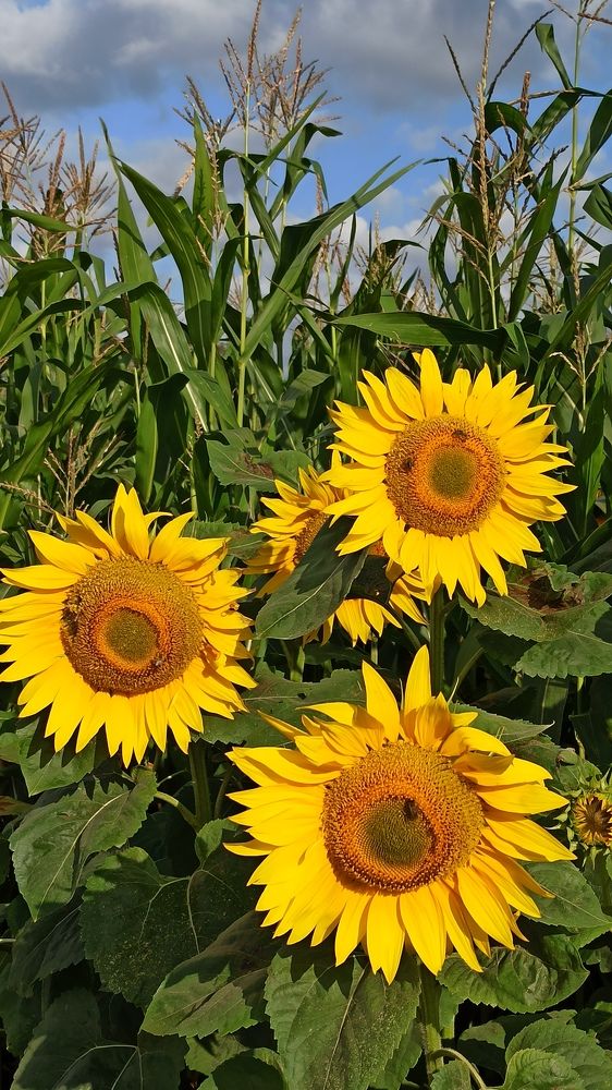 Photograph by Людмила Щуцкая