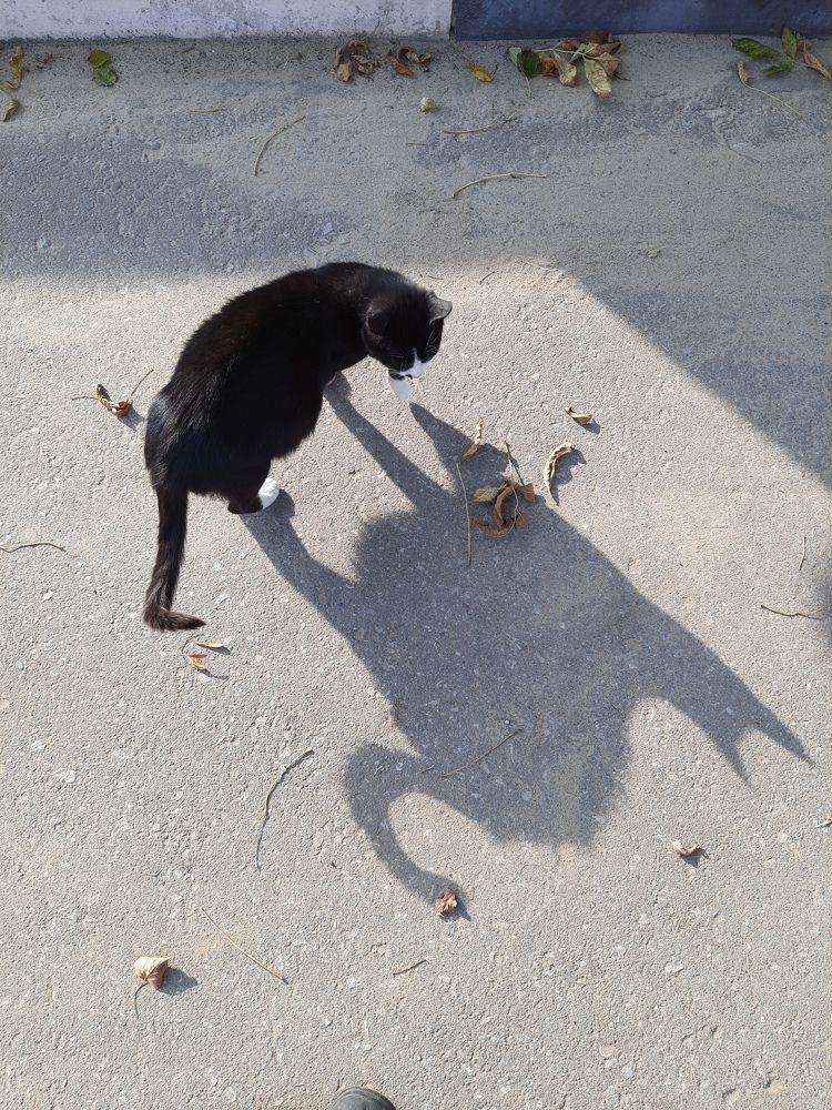 Photograph by Суетинов Евгений