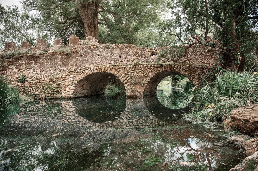 Photograph by Юлия Григоренко