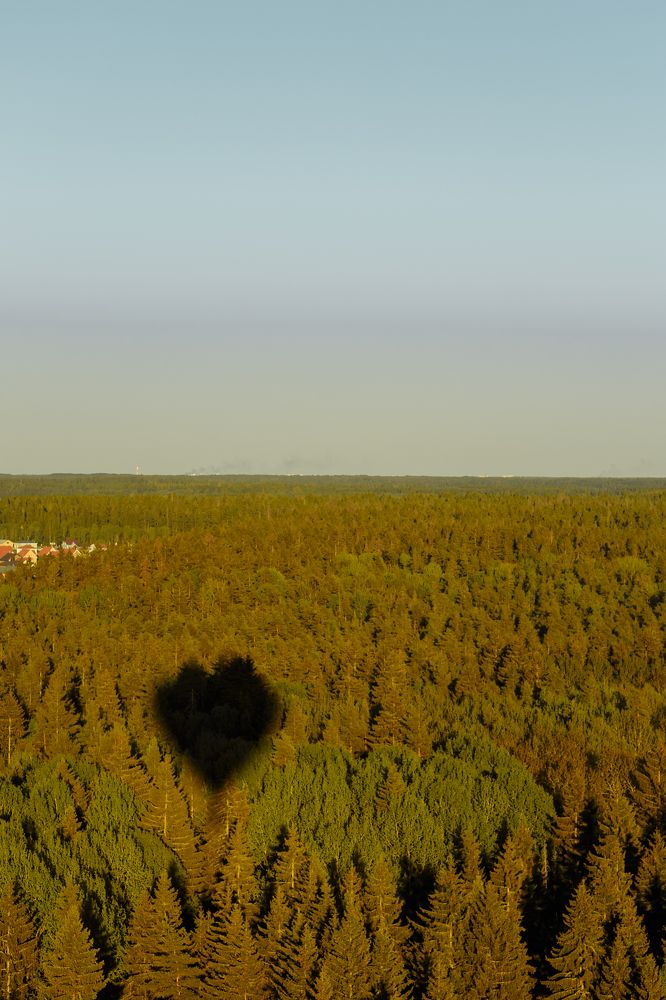 Photograph by Надежда Онищенко