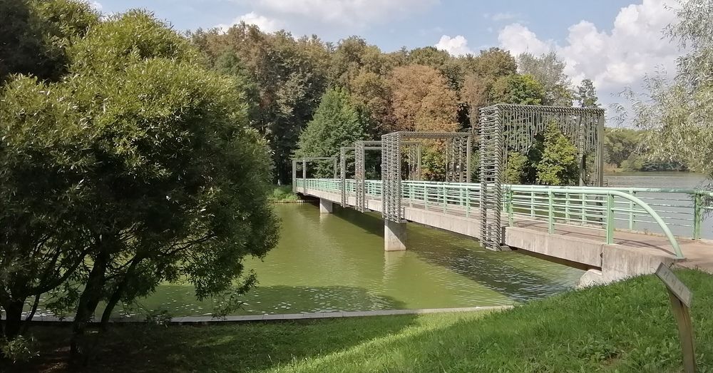 Photograph by Дарья Лосева