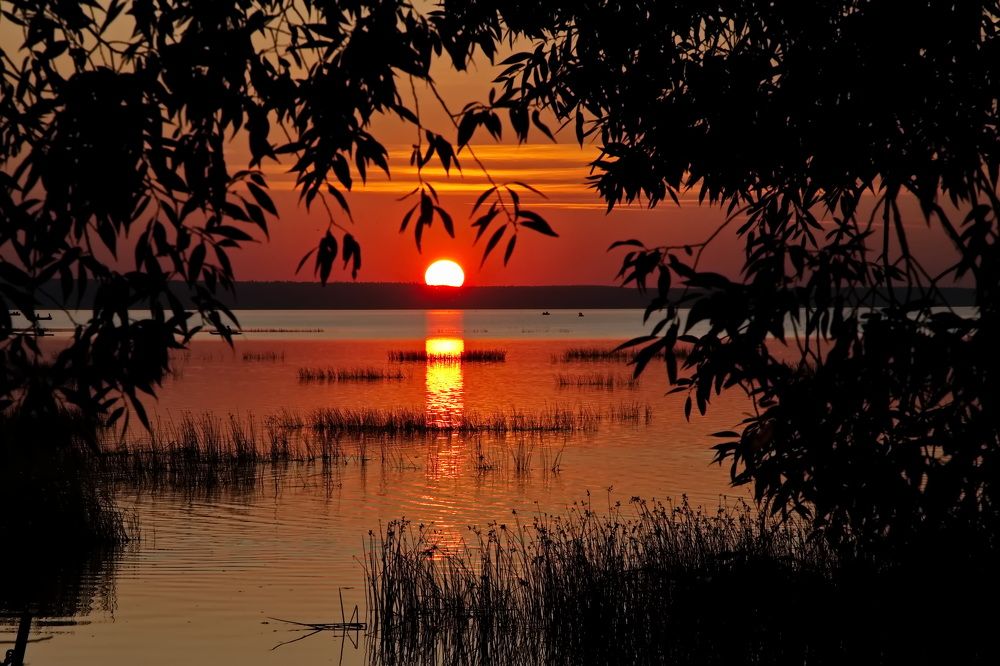 Photograph by Олег Раков