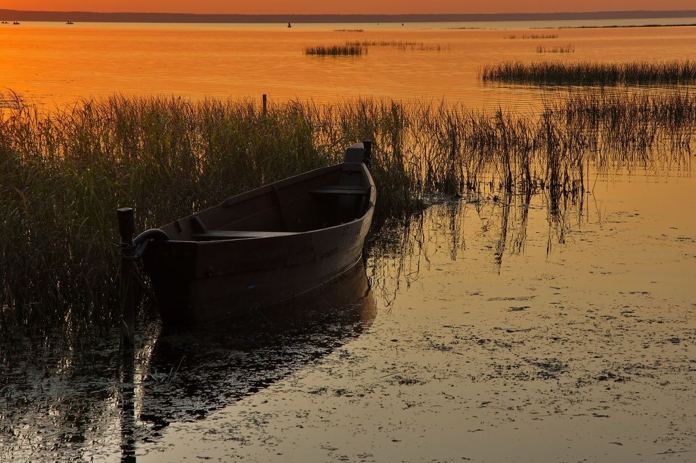 Photograph by Олег Раков