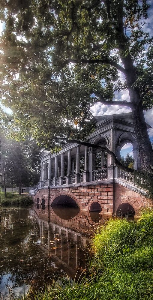 Фотография автора Алёна Михайлова