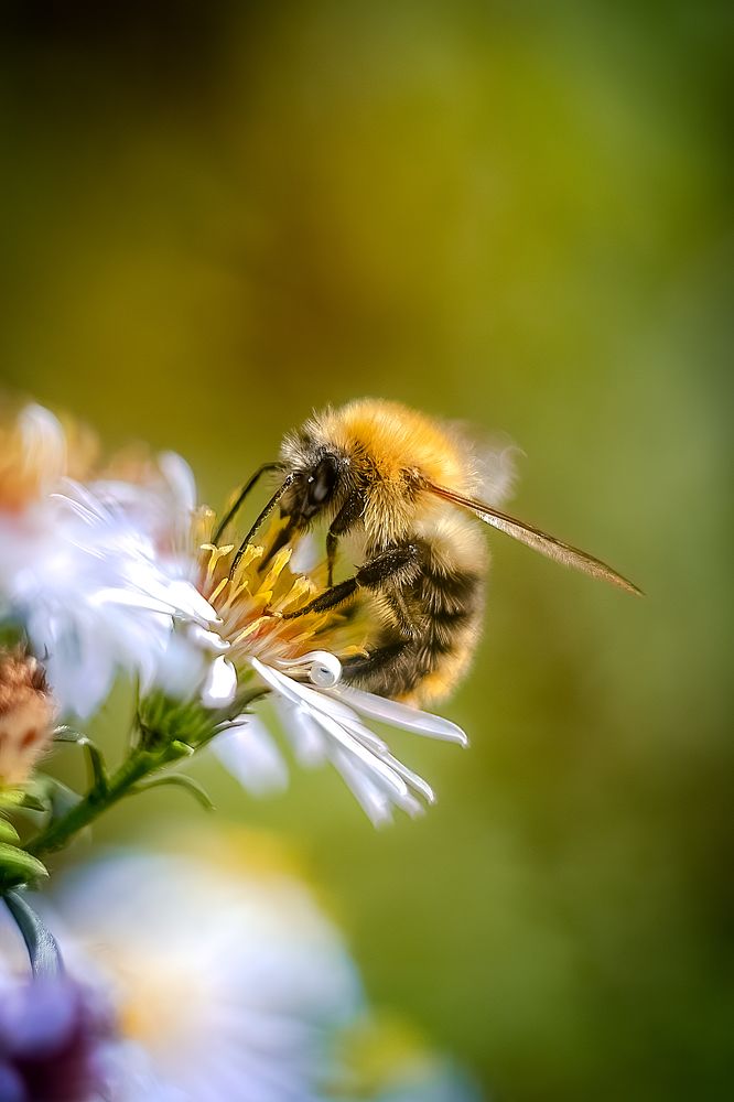 Photograph by Александр Соловьев