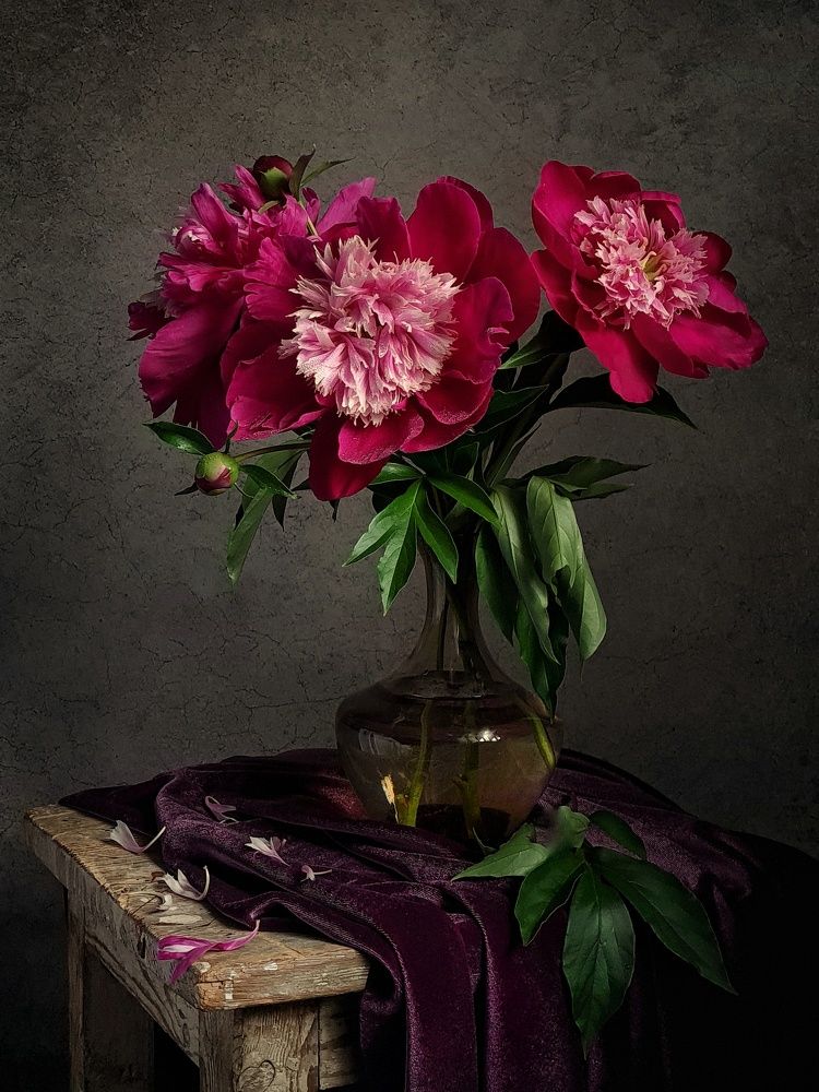 Photograph by Екатерина Панфилова