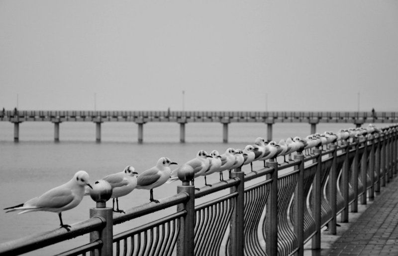 Екатерина Попович, Russia