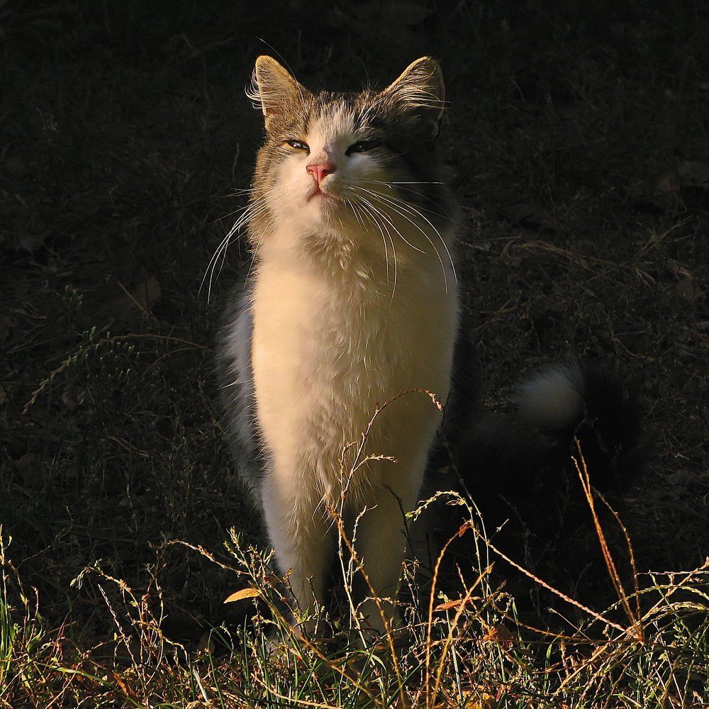 Вхождение в рассвет.