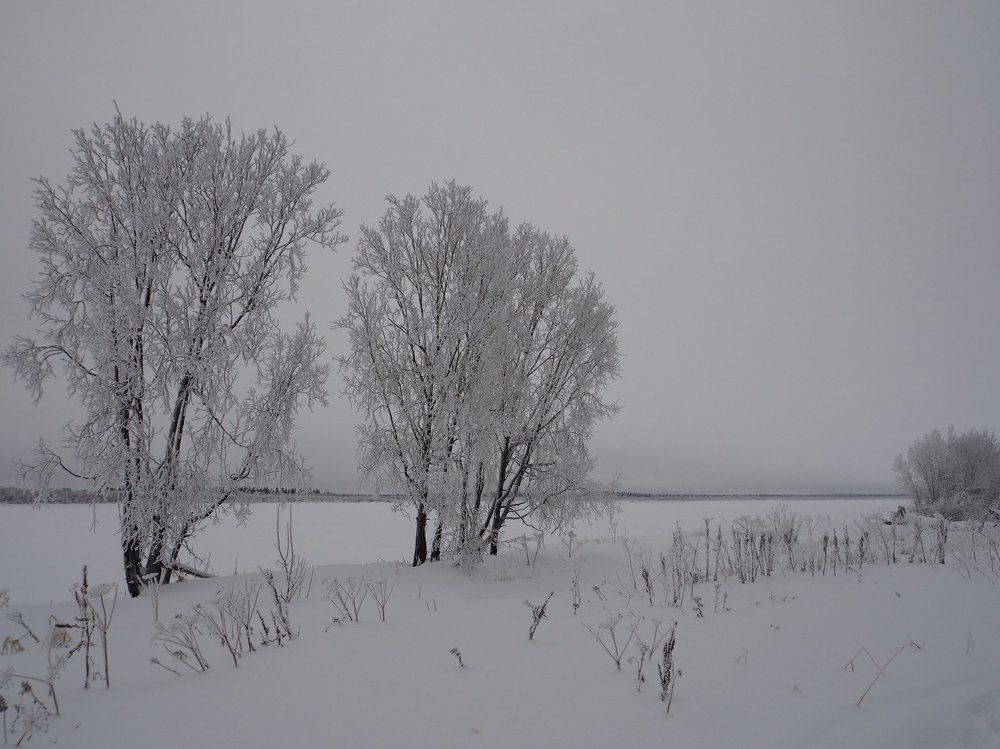 На берегу реки.Декабрь,пасмурно