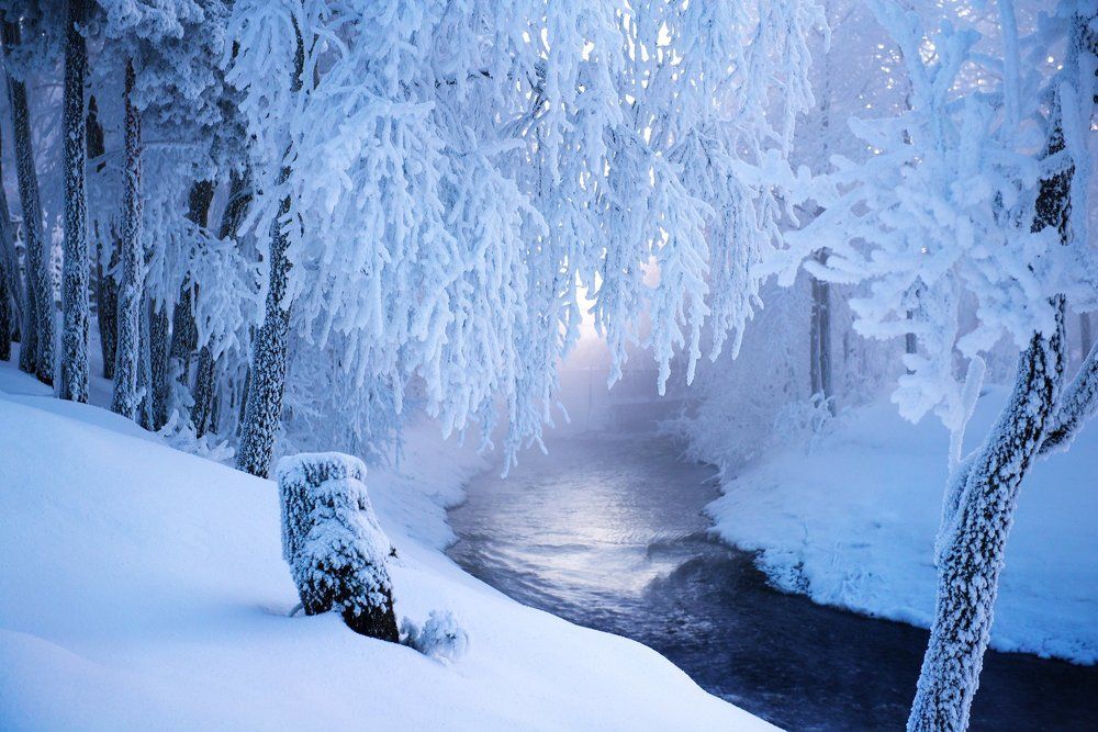 Город мой родной, любимый...Как ты прекрасен сегодня