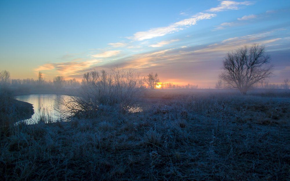 Туманное утро в Волго-Ахтубинской пойме
