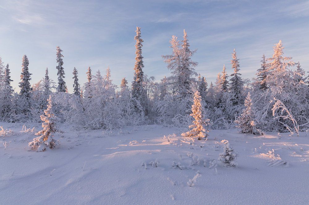 Начало зимы