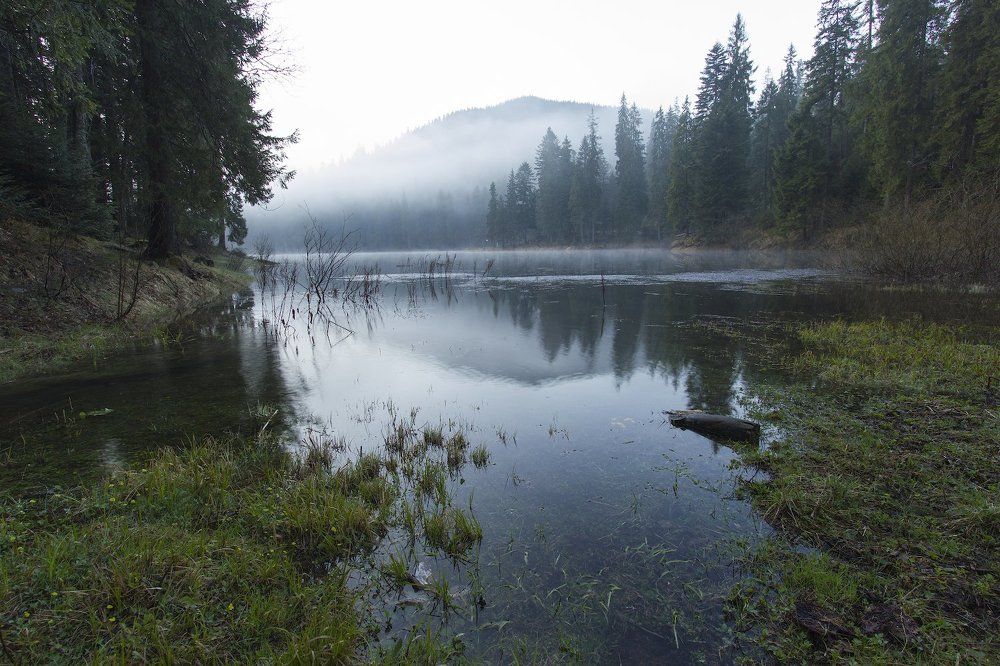 Загадочное утро на озере Синевир