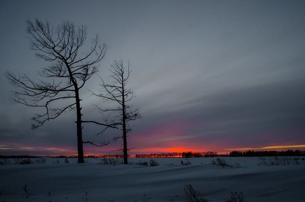В серых тонах