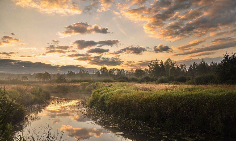 Хочется рухнуть в траву непомятую,  в небо уставить глаза завидущие,  и окунуться в цветочные запахи,  и без конца обожать все живущее.