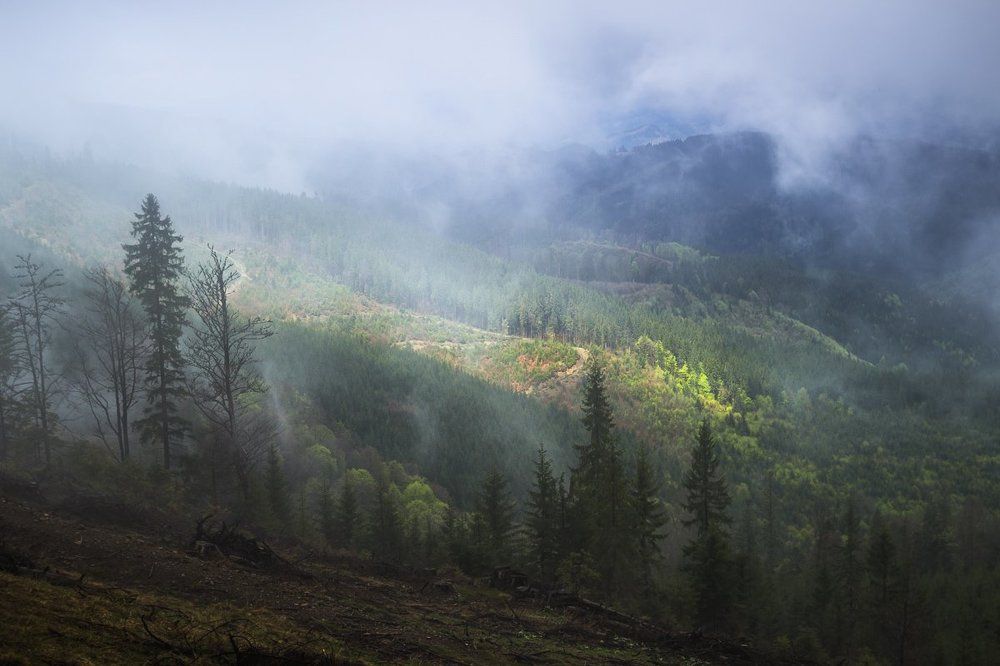 Хребет Камянка