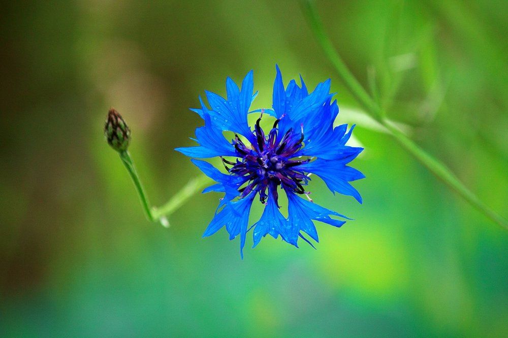 Привет! Рад встрече.