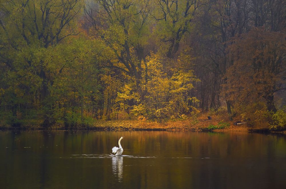 осенняя мелодия