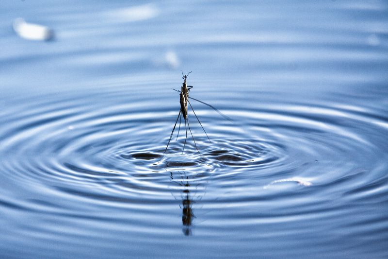 Sergey Zorin, Russia