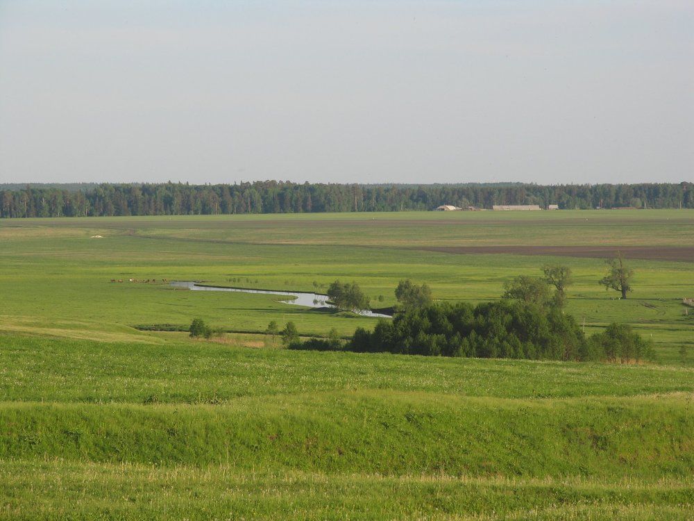 Photo #1102568
