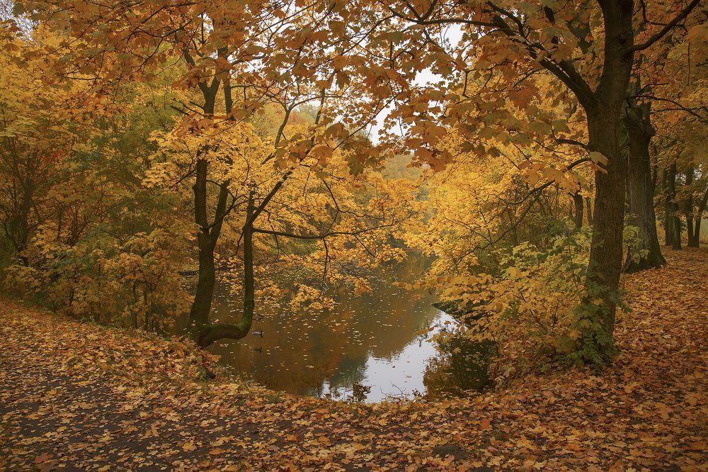 золотая осень