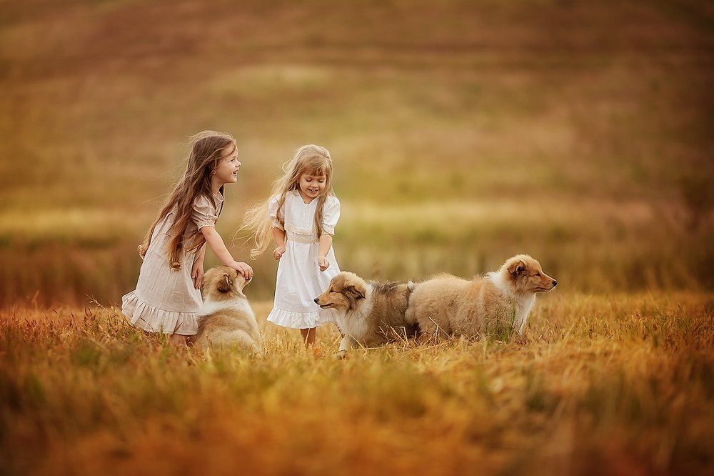 Пушистые друзья