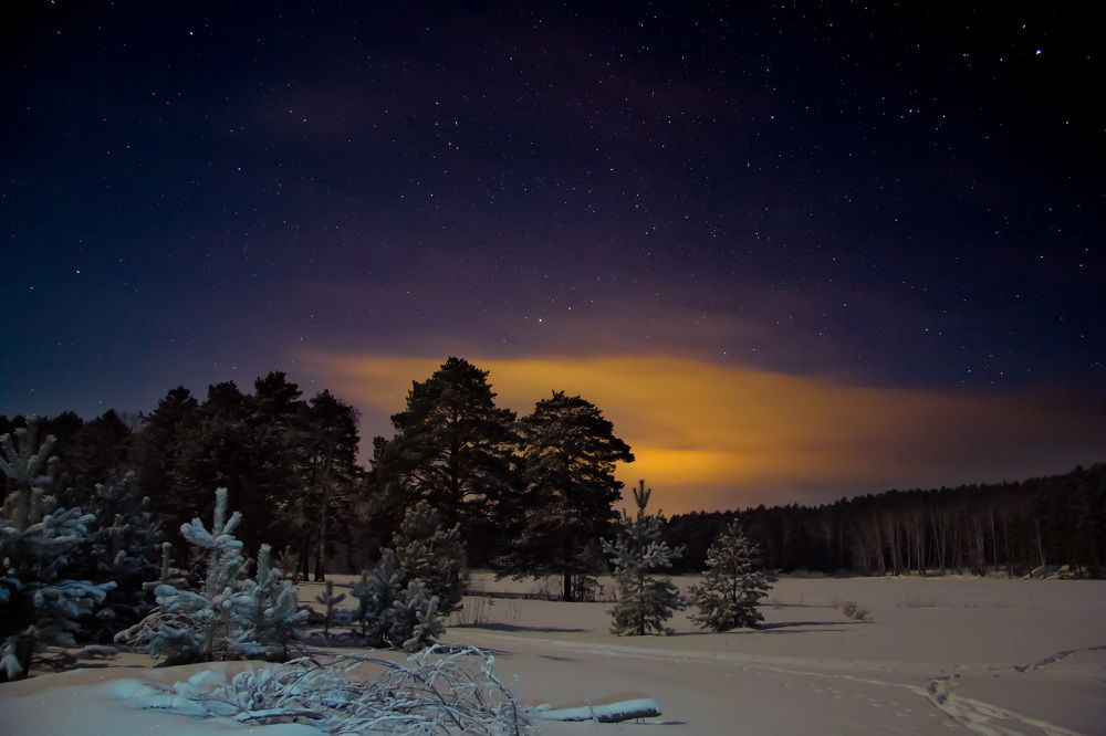 Добрый вечер