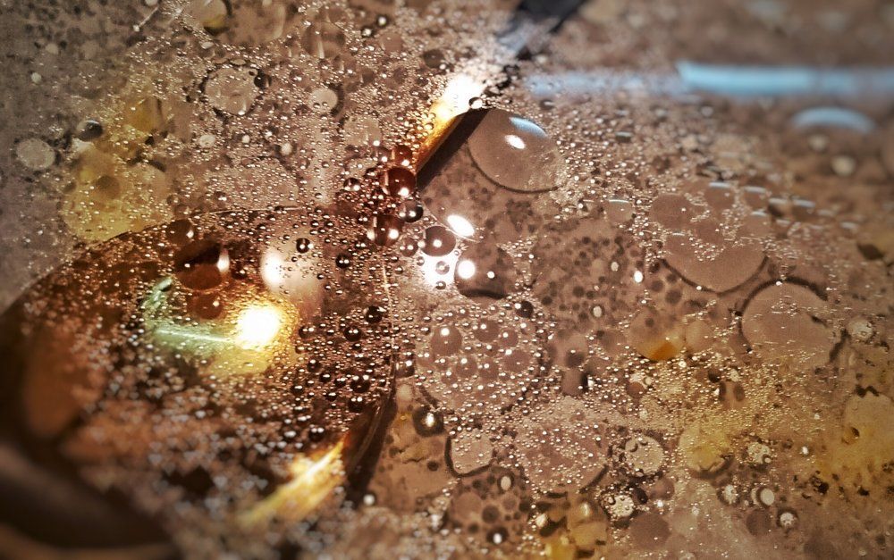 Микрокосмос