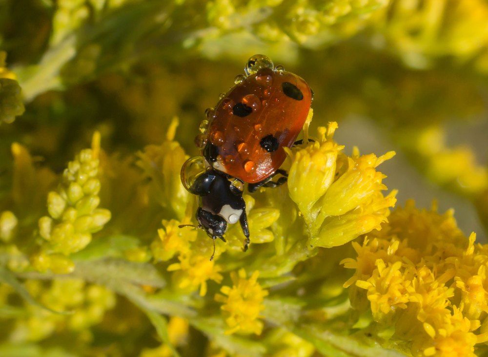 Ранним утром