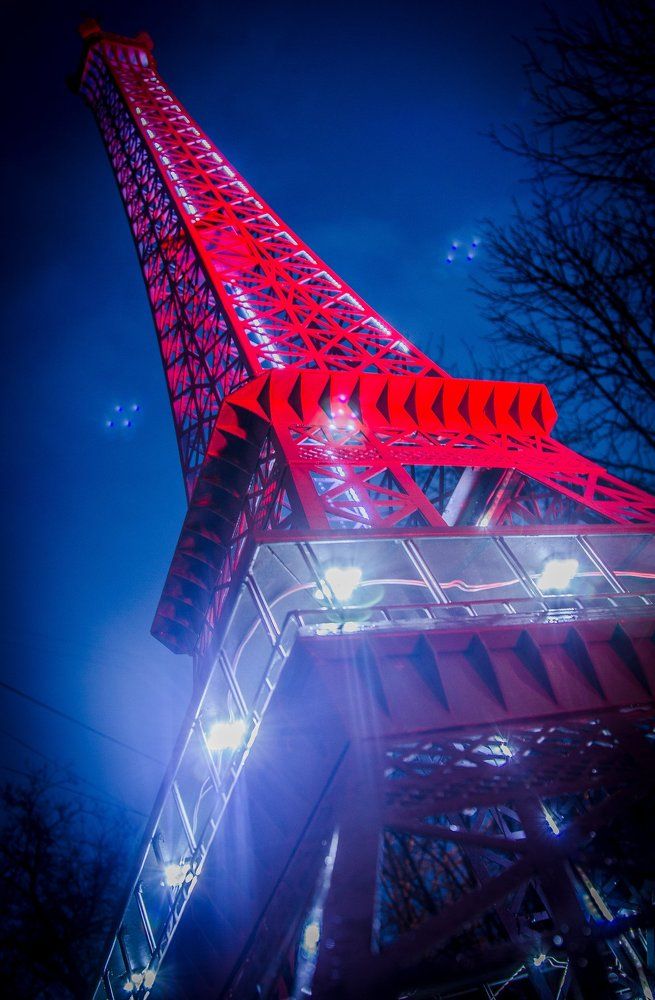 Париж в Тульской области