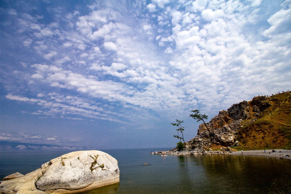 Ящер на берегу Байкала