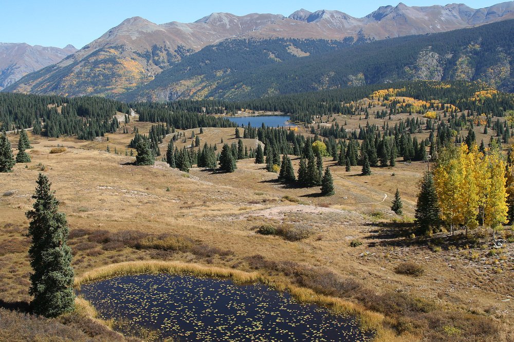 Хороводы осени.