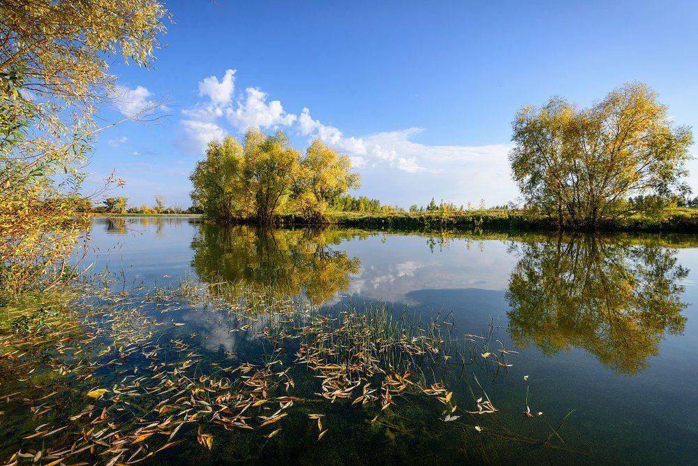 Осенняя зарисовка...