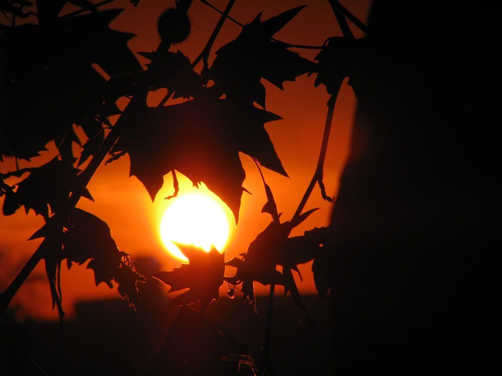 Photograph by Захарова Ирина