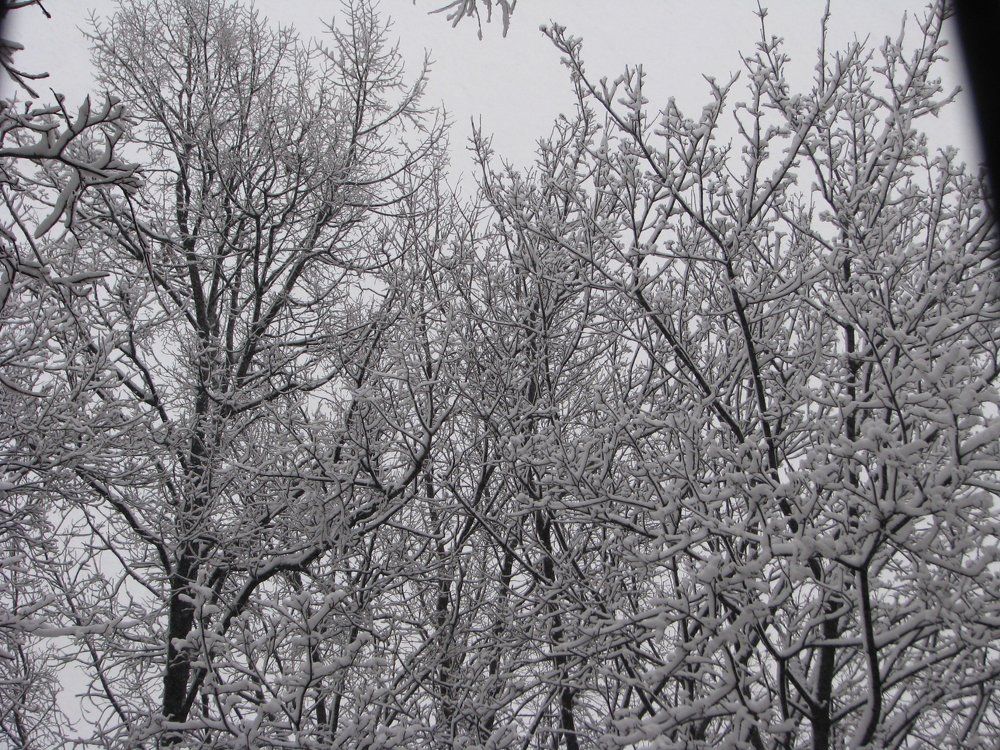 Photograph by Захарова Ирина