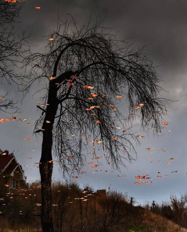 sergei lysenko, Russia