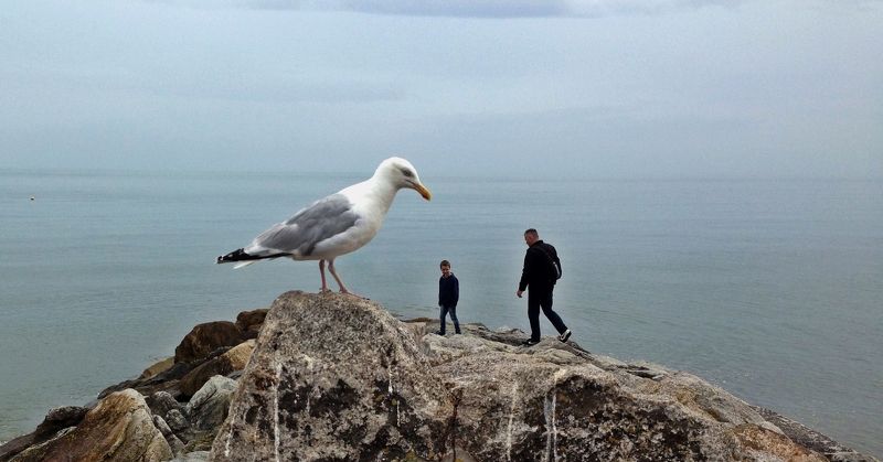 Werner Schumann, Great Britain