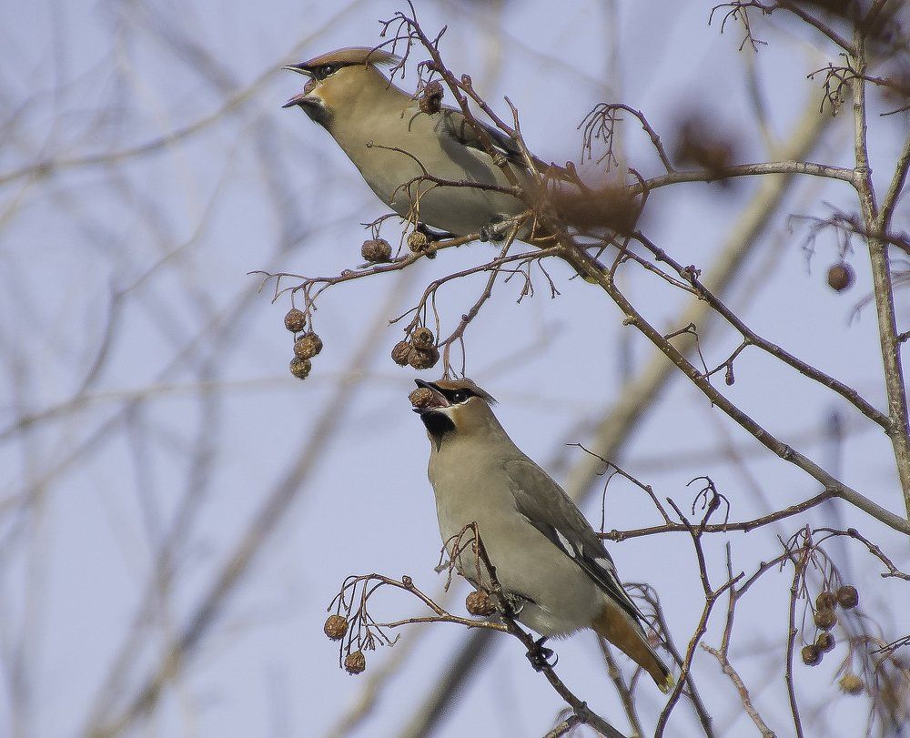 Photograph by Андрей Лапин