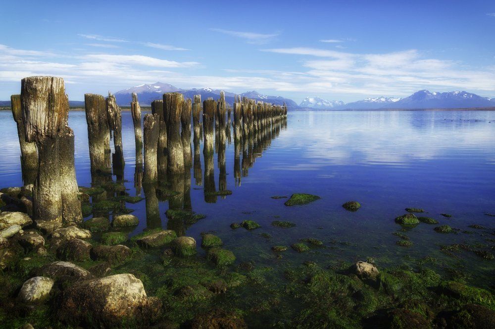 Шаги времени