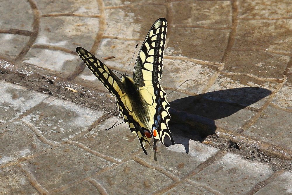 Photograph by Тамара Кремлева