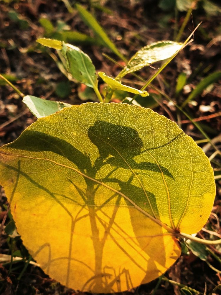 Photograph by Татьяна Бешенкина