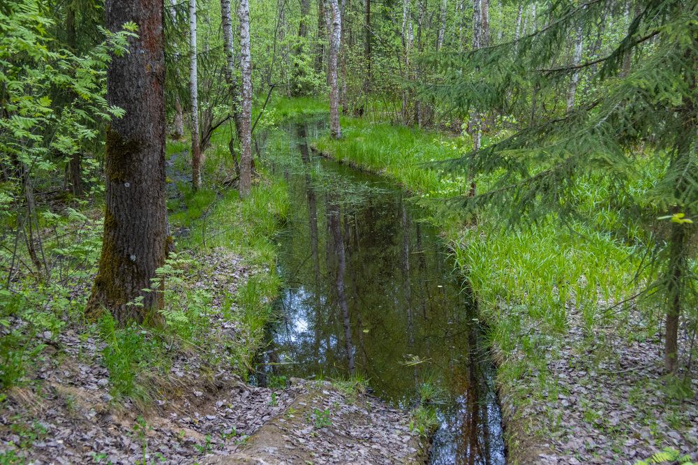 Photograph by Сергей Щербаков
