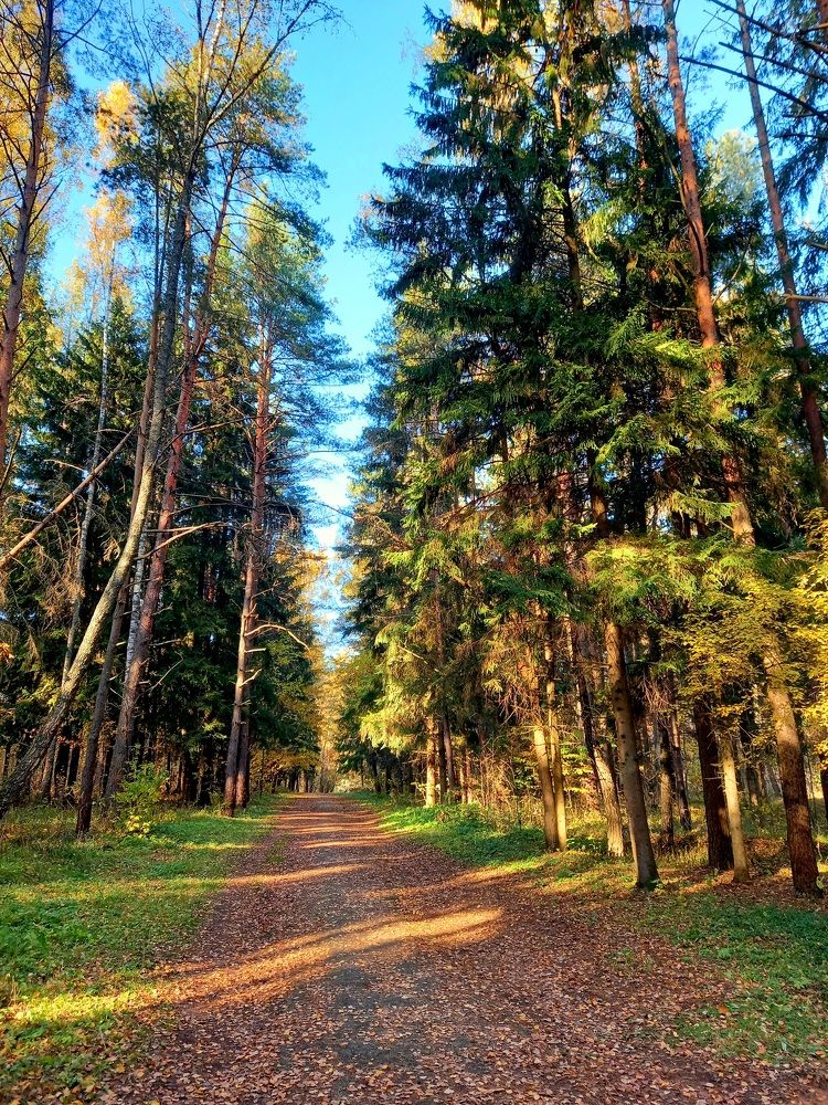 Photograph by Ольга Юрченко