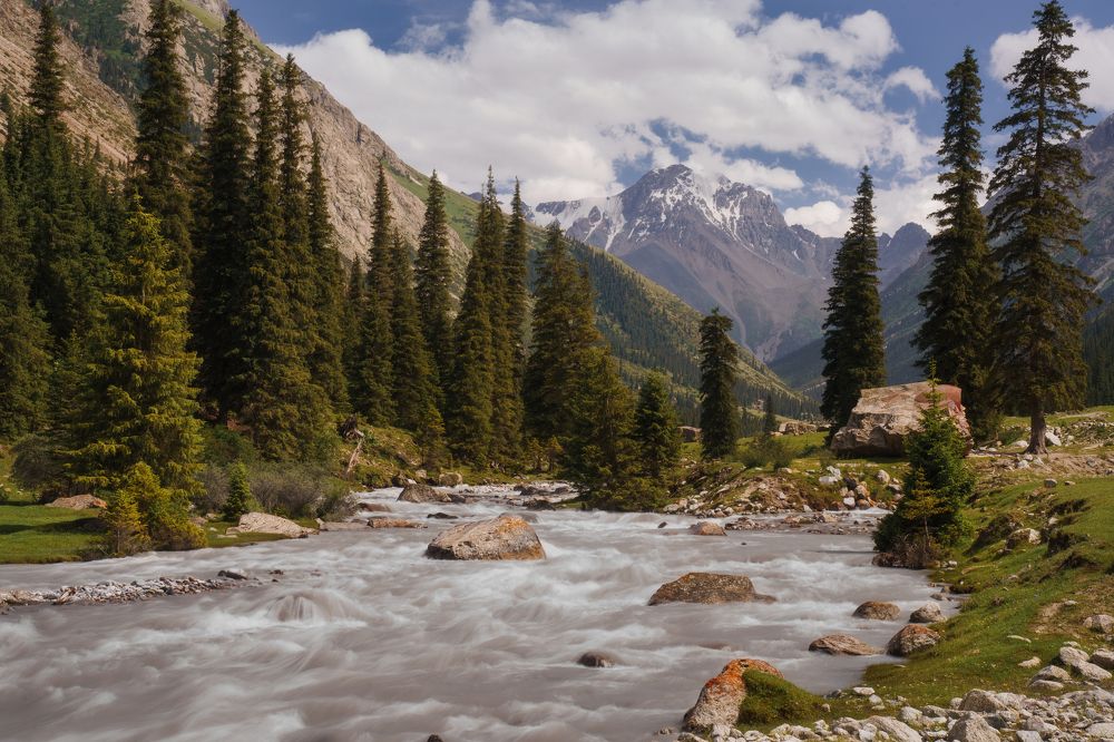 Photograph by Александр Нерозя