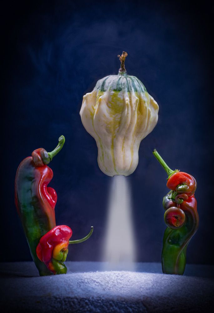 Фотография автора Черновол Валентин