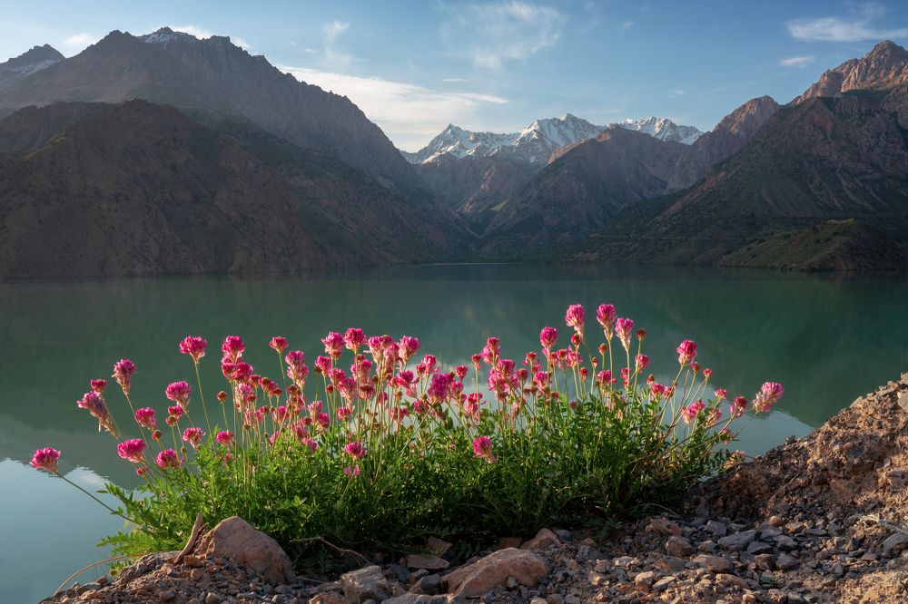 Photograph by Нерозя Александр