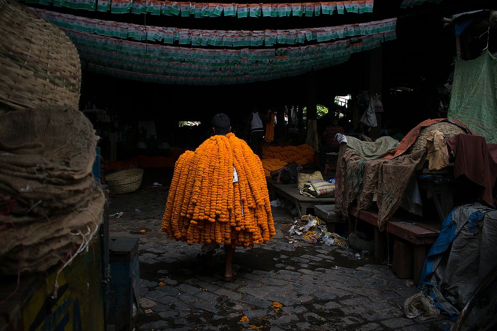 Photograph by ANANYA BOSE MAJUMDER