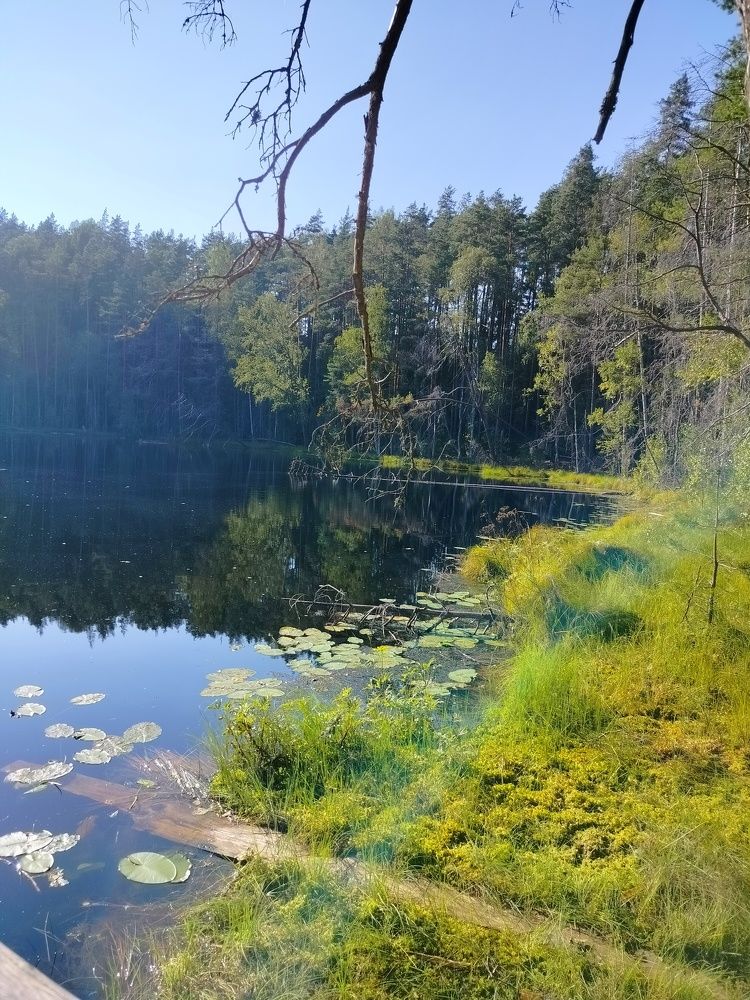 Фотография автора Наталья Драгун