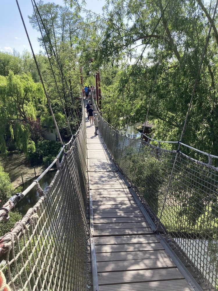 Photograph by Olena Rebrova