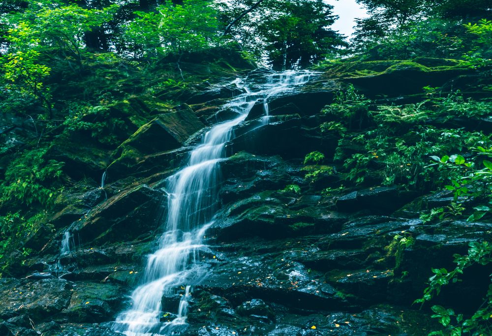 Photograph by Pavel S